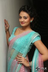 Nikitha Narayan at Pesarattu Movie Audio Launch
